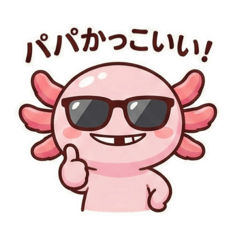 hiraiiitoko_20260119174059