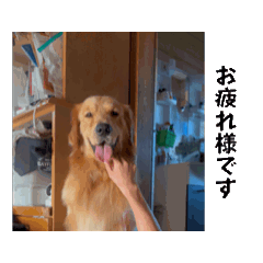 hikari_20260120121934