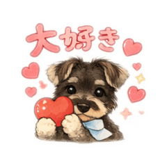 sora petit_20260120083809