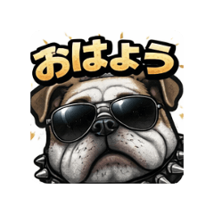 kinkin_20260120123339