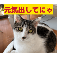 miomio305_20260119211451