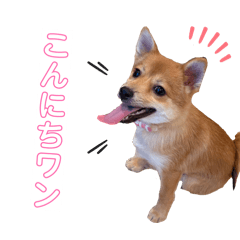 nakagawa_20260119211846