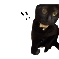 k_20260119212117
