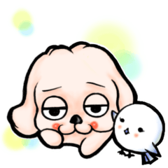 A loose and lazy dog10