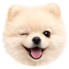 Cute animal Sticker.No text.