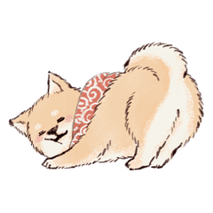 Fluffy Mame Shiba