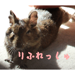 NAMMO_20260119204150