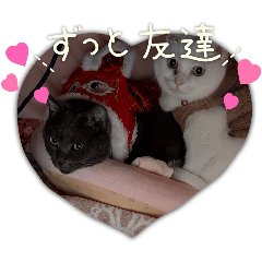 myalaneko_20260119151856