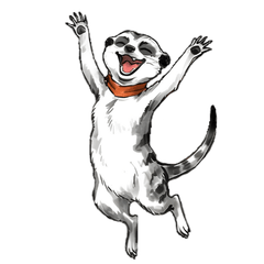 Meerkat Greetings!