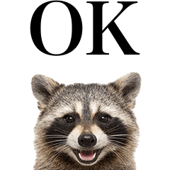 BIG! 매일 쓰기 좋은 라쿤