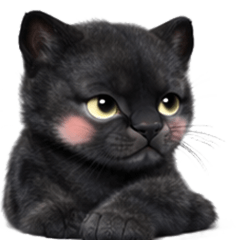 Tsundere Black Panther