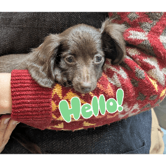 chansta_20260120072241