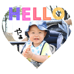 souta everyday stump