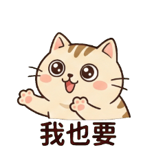 Cozy Life of a Lazy Tabby