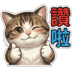 White cat ball dry language