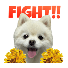 yurinyaaa_20260120081523