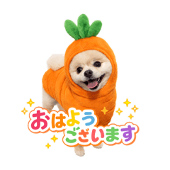 amiamiami_20260120081031