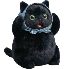 Babushka Black Cat: Zero Fucks Given