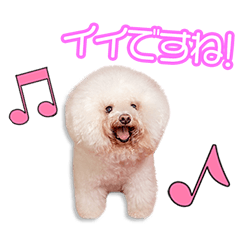 祝原家のうにちゃん２