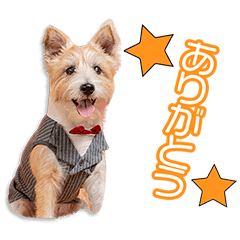 濵田家のポポちゃん