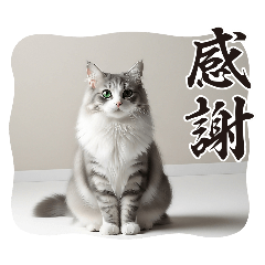 Powdered green tea flavor_20260120091838