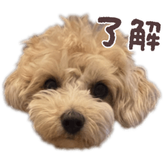 Yu-chan_20260120131159