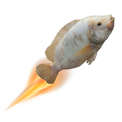 ปลาสุดเท่! (ขยับได้)