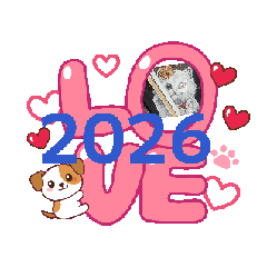 MORIO_20260120142603