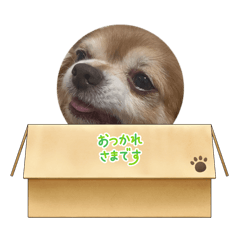 Mizuki_20260120225258