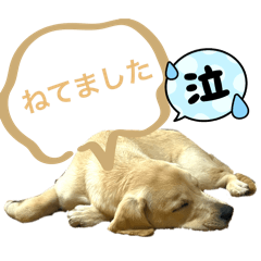 Sumire_20260120183434