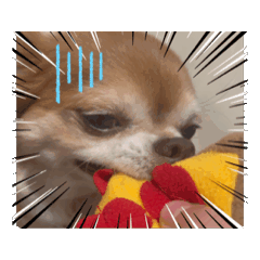 Mizuki_20260120223902