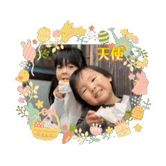 hikari_20260120213324