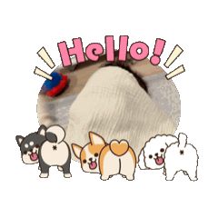 Yuka.I_20260120215753