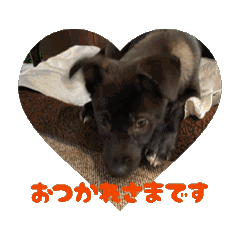 Mo-ri_20260120213416