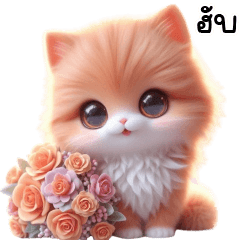 cat cute ta mu ta mi