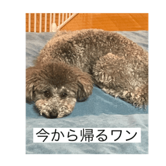 Yuiho_20260120142857