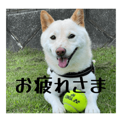 JunJun_20260120104725