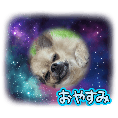 chieko_20260120164458