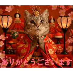 Hinamaturi cat