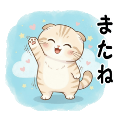 Cute Scottish Fold (cat)