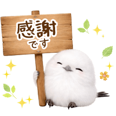 気持ち伝わる癒やしシマエナガ