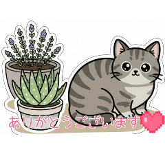 NANASHOP_20260120212628