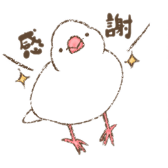 miimeru_20260120223924