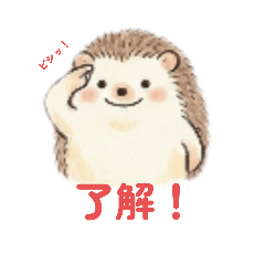 O-kei_20260120225045