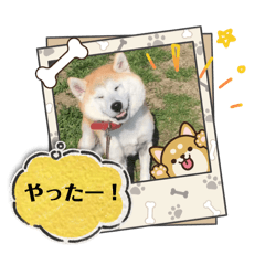 KOMUGI_20260120213505