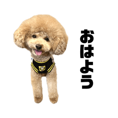 RIN of the Nakamura family 3