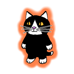 ハチワレ 猫ちゃん