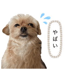 miisuke_20260120182133