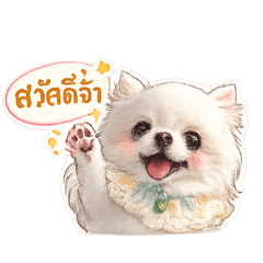 Pongsaton Rodin_20260120170425