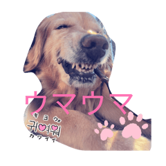 KinkoR_20260120205016